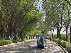 -丁香湖公园