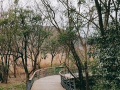 -西湖风景区-江洋畈生态公园