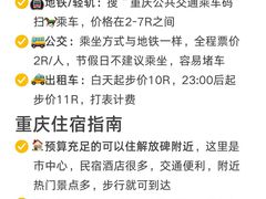 -烤匠麻辣烤鱼(观音桥大融城店)