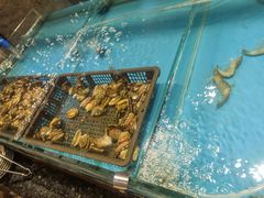 -阳光岛·海鲜盛宴(银泰中心in99店)