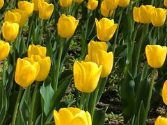 -长春公园(普阳街道)