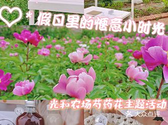 光和农场||避开人潮，享受假日里的惬意小时光