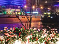 -阿斯牛牛·凉山菜(新会展店)