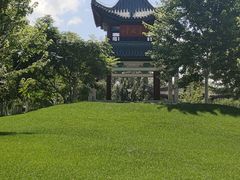 -东北农业大学