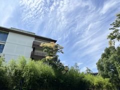 -水月周庄铂尔曼酒店 · 漾全日餐厅
