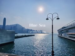 -海港城