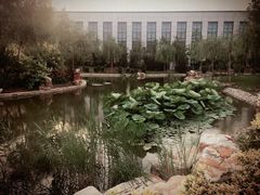 -北京国家会计学院