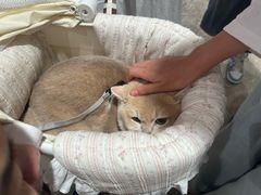 -杭州西湖银泰百货