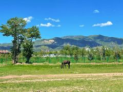 -敕勒川草原文化旅游区
