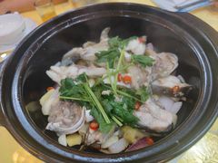 -台山美食一绝阿四台山黄鳝饭(阿四创作店)