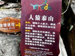 -呀诺达热带雨林