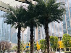-食百绚全日制餐厅(成都棕榈泉费尔蒙酒店)