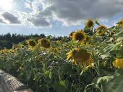 -长春公园(普阳街道)