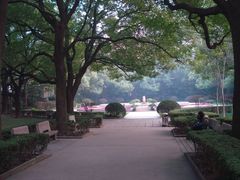 绿化庭院-上海交通大学医学院附属瑞金医院(总院)