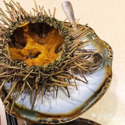 春吉居酒屋的海胆好不好吃 用户评价口味怎么样 长春美食海胆实拍图片 大众点评