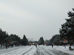 -北陵公园