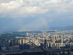 -长虫山生态公园风景林