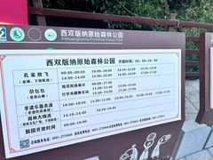 -西双版纳原始森林公园