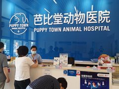 -芭比堂动物医院·CT·微创中心(新顺分院)