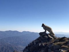 -灵山