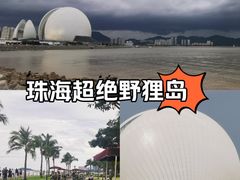 -野狸岛