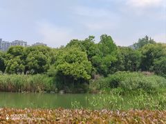 -苏州太湖湖滨国家湿地公园