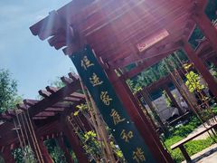 -翠矶山公园