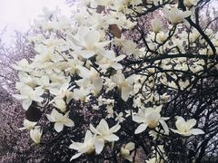 -西安交通大学(雁塔校区)