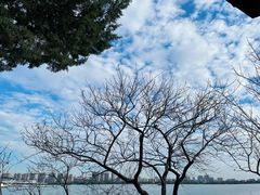 -无锡蠡湖国家湿地公园-蠡园