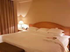 -南京维景国际大酒店(南京博物院店)