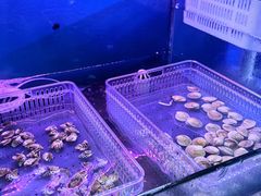 -好爸爸(印象城旗舰店)