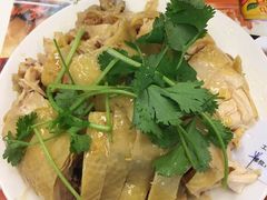 -振鼎鸡(丰庄路店)