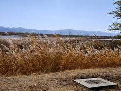 -野鸭湖国家湿地公园