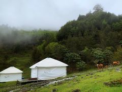 -硗碛藏寨·神木垒景区