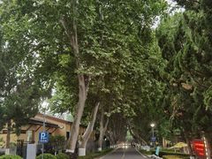 -T80科技文化国际社区-停车场