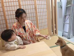 -柴犬小屋·柴餐厅·狗咖食堂(金鼎广场店)