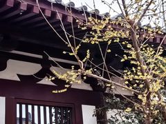 -西安华清御汤酒店