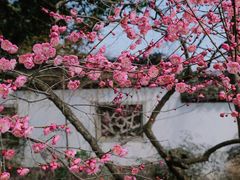 -杭州植物园