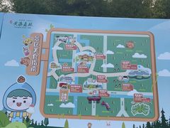 -黄海国家森林公园