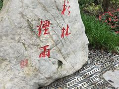 -重庆彩云湖湿地公园