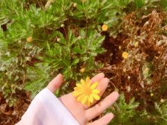 -昆山城市生态森林公园