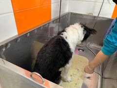 -全心全意动物诊疗中心医院(北苑店)