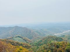 -天女山森林公园