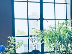 -滇野云南野生菌餐厅(陕西南路店)