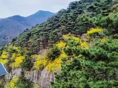 -泰山风景名胜区