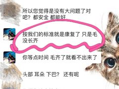 -糯米喵星人总部直营旗舰店·猫舍·幼猫出售
