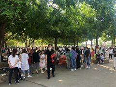 -长白岛森林公园