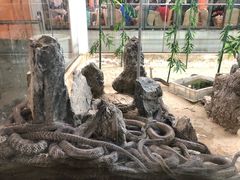 -荔城生鲜盛宴(番禺旗舰店)
