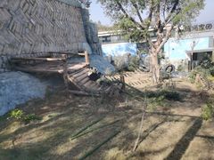 -泉州海丝野生动物世界