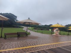 -济州森林小火车生态公园